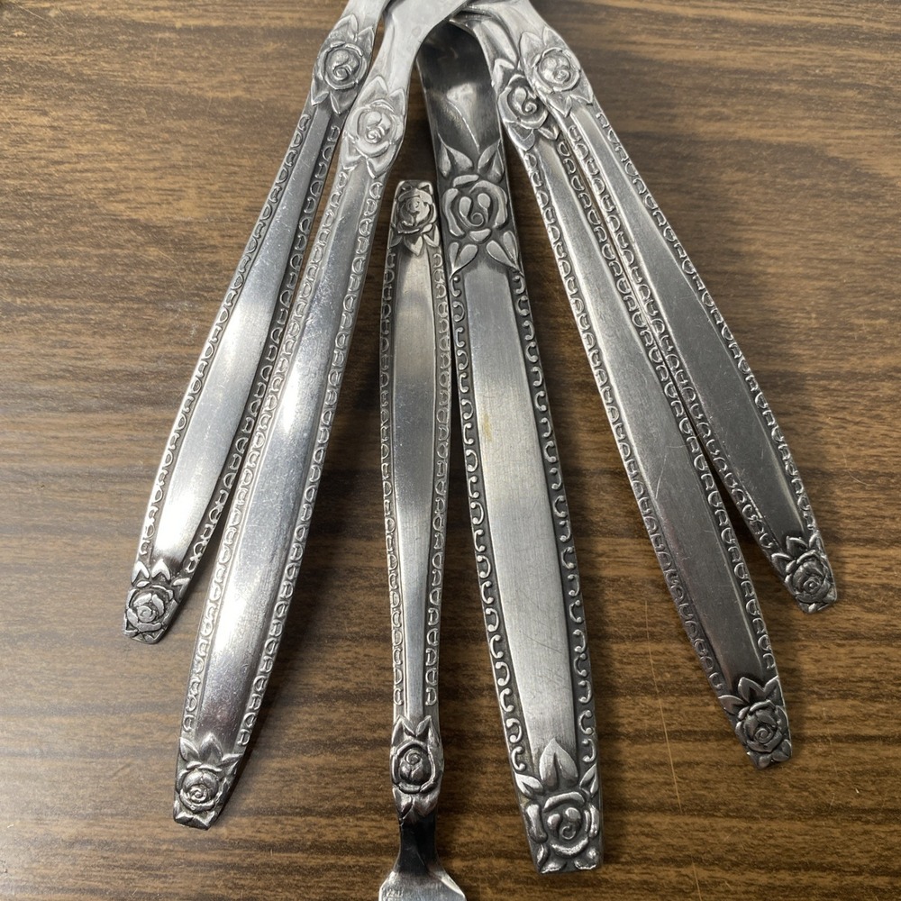 Vintage Rose Border Flatware National Stainless Co. JAPAN Stainless Steel MCM